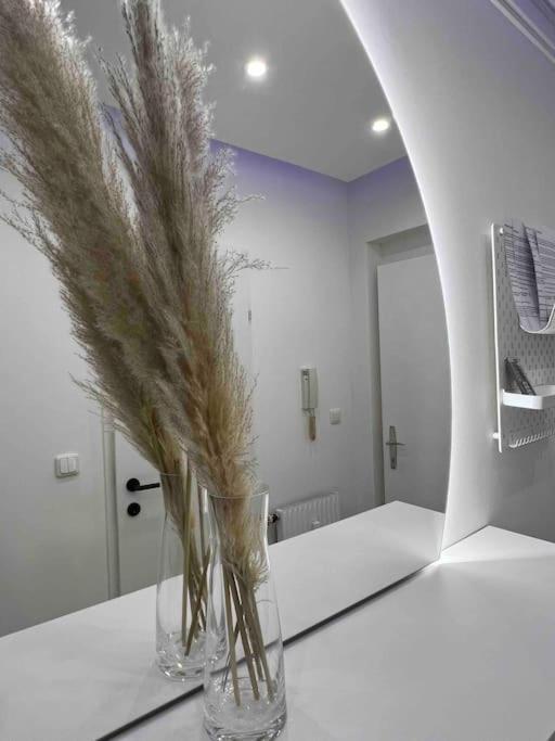 Traum Wohnung Mit Kingsize-Bett Грац Экстерьер фото